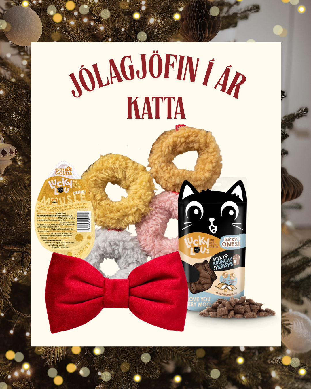 Jólagjöfin í ár | Fyrir ketti