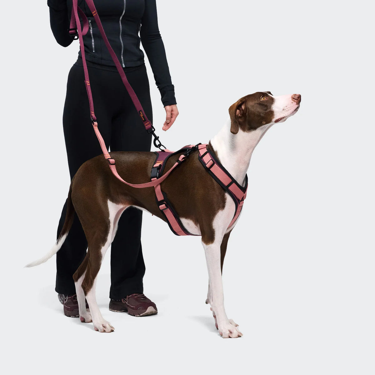 Y-3 AKTIV Softshell Leash - Black