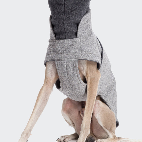BROOKLYN Italian Greyhound Flannel-jakki Grey