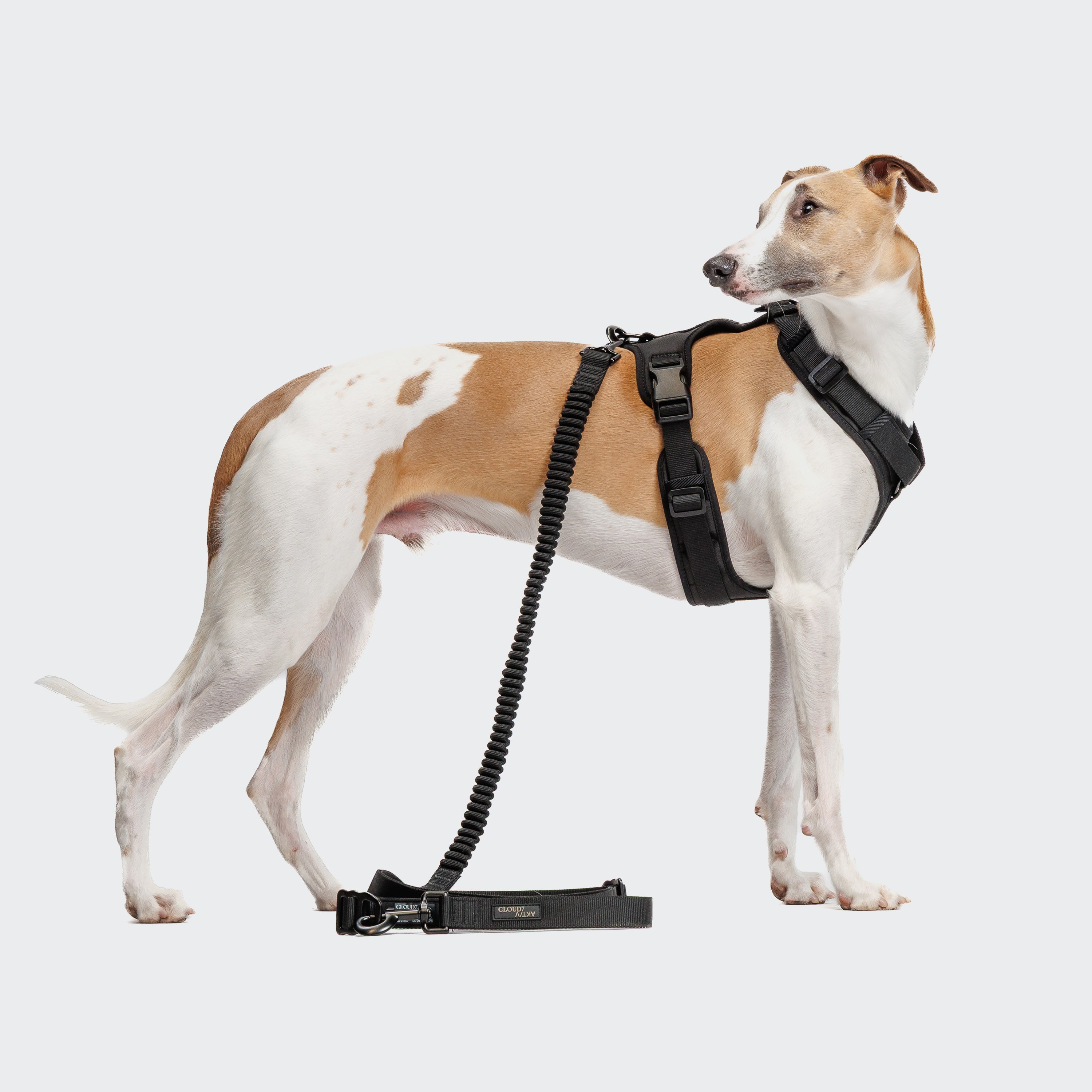 L-2 Jogging  Leash taumur - Svartur - Móri
