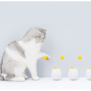 Eggjaskurn | Kattaleikfang með sjálfvirkum bolta - Móri