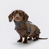 BROOKLYN Dachsund Tartan Vax-Jakki