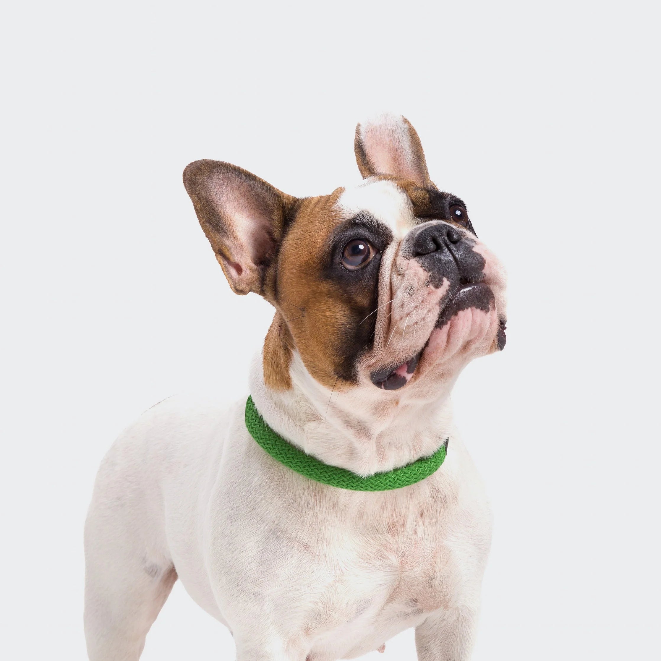 Mauerpark hálsól - Græn