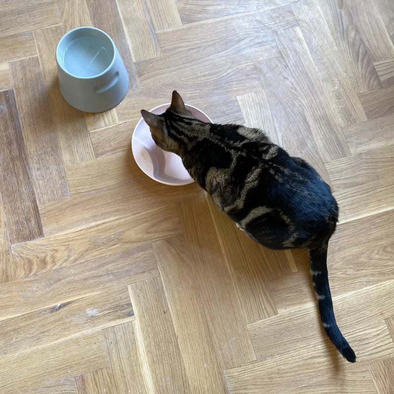 PLATE postulín skál - Bleik