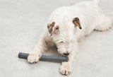 Ramo Fetch hundaleikfang - Slate