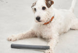 Ramo Fetch hundaleikfang - Slate