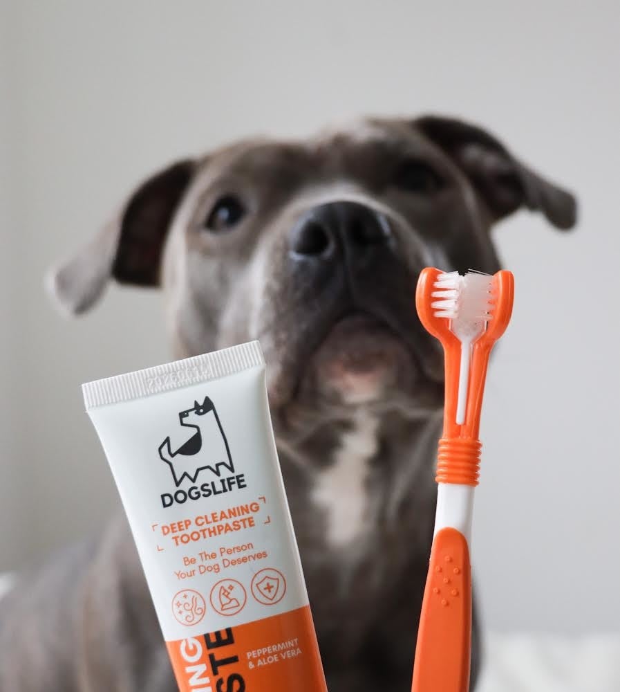 Dental Care Kit | 2 tannkremstúbur, tannbursti og 2 sílikonburstar