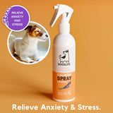 Dog Calming Spray - Róandi sprey
