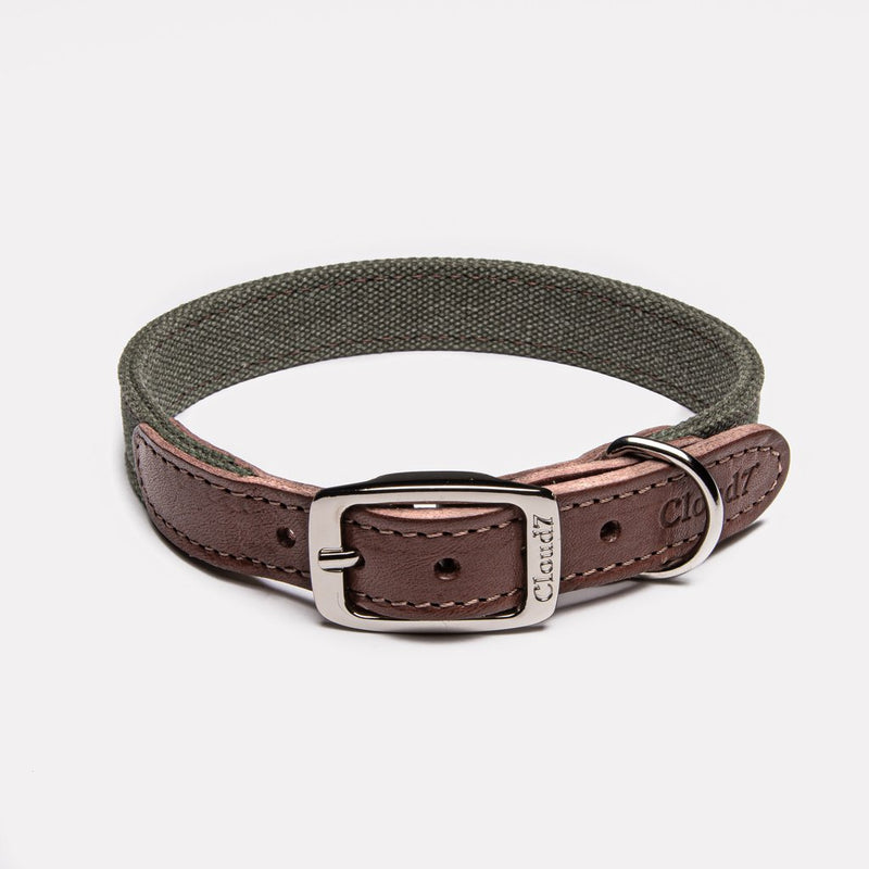 Tivoli Canvas ól - Olive