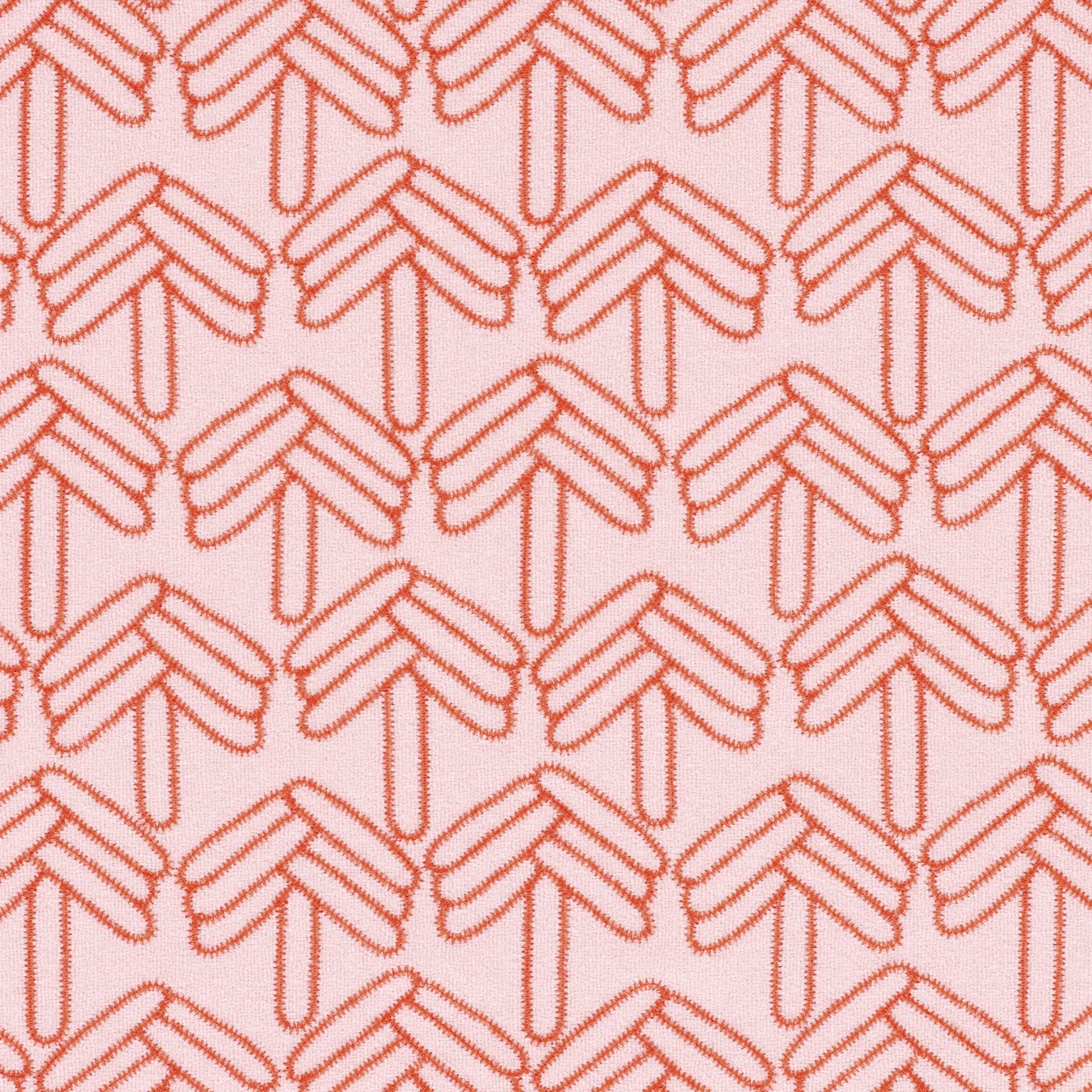 Lola Coral taumur - Móri