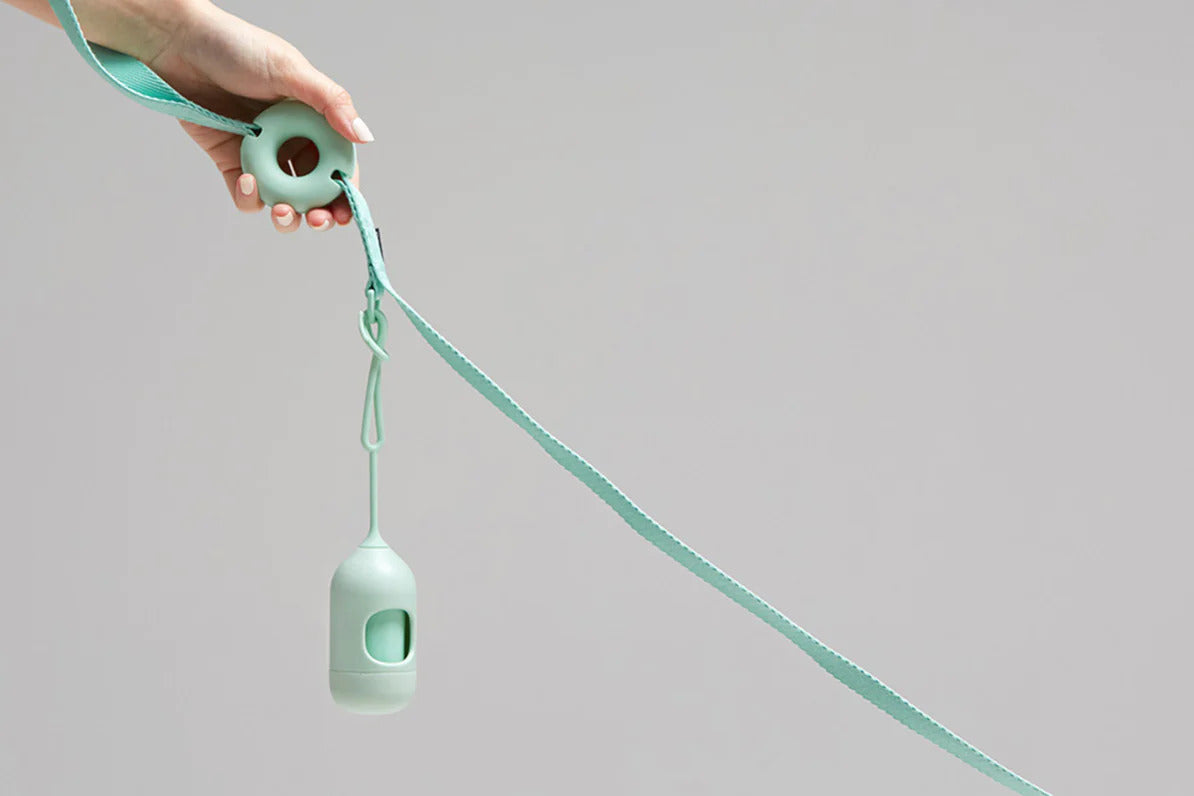 Macaron taumur - Aqua grænblár - Móri