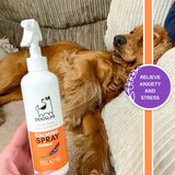 Dog Calming Spray - Róandi sprey