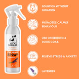 Dog Calming Spray - Róandi sprey