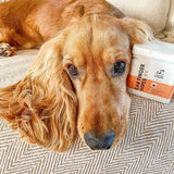 Ear Wipes - Hreinsiklútar fyrir eyru