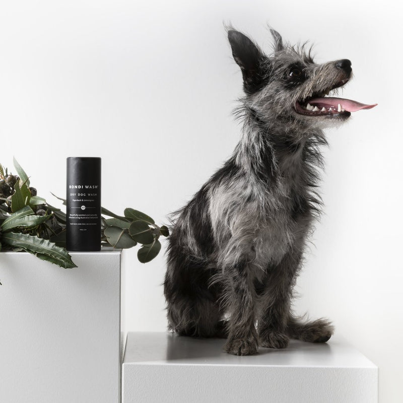 Dry Dog Wash - Þurrsjampó fyrir hunda og ketti