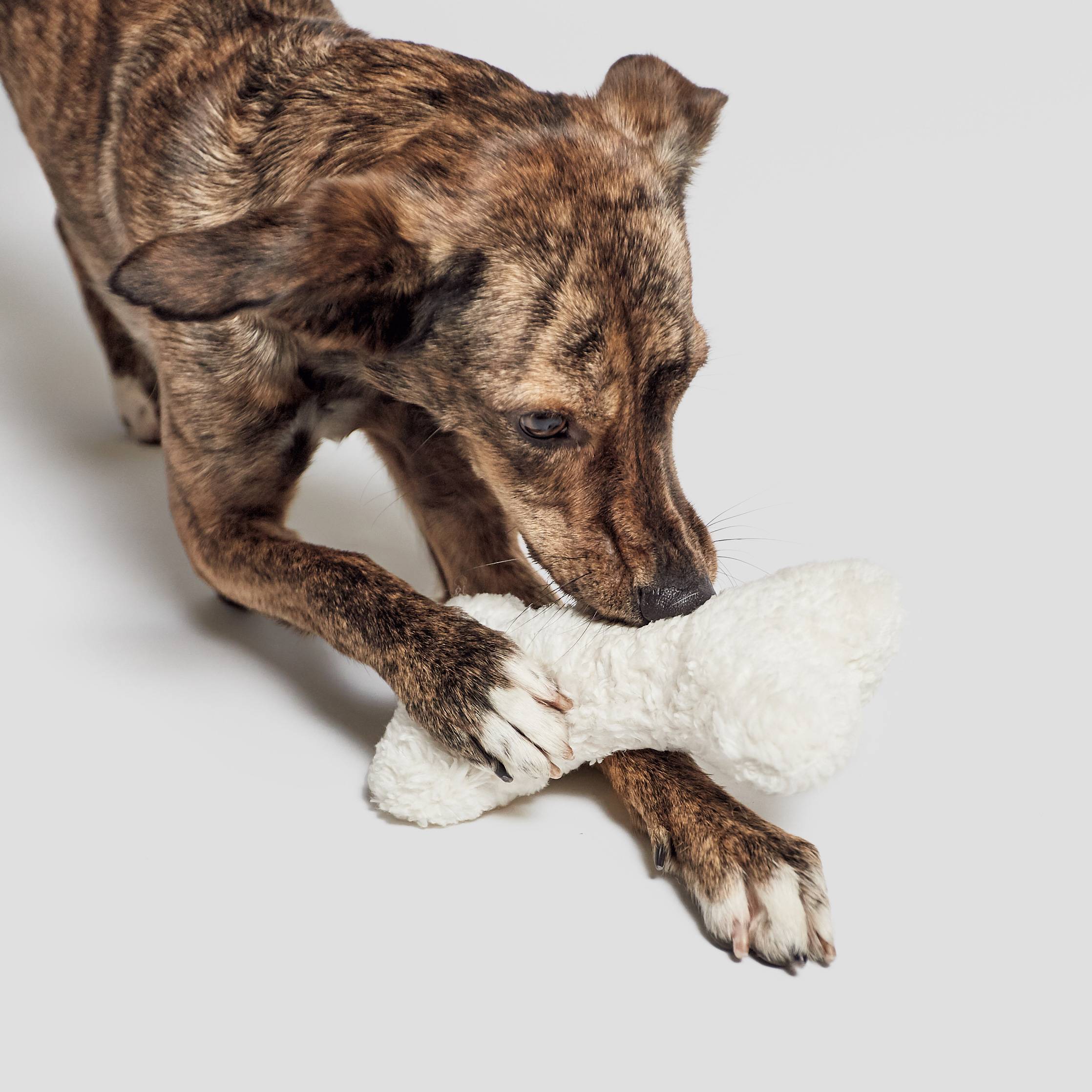 Love Bone Hundaleikfang - Hvítt plush - Móri