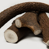 Naghorn - Dádýrahorn