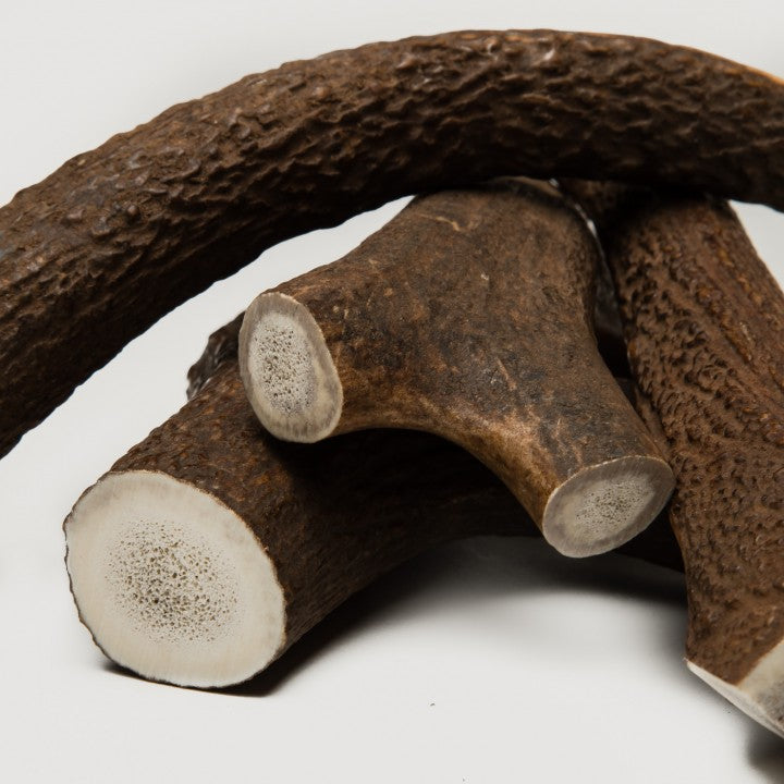 Naghorn - Dádýrahorn
