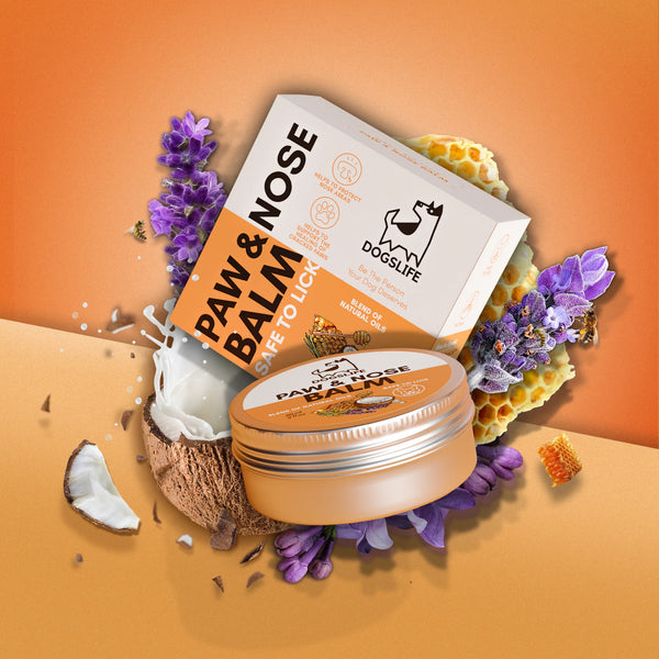 Paw & Nose Balm - Græðandi krem fyrir nef og loppur